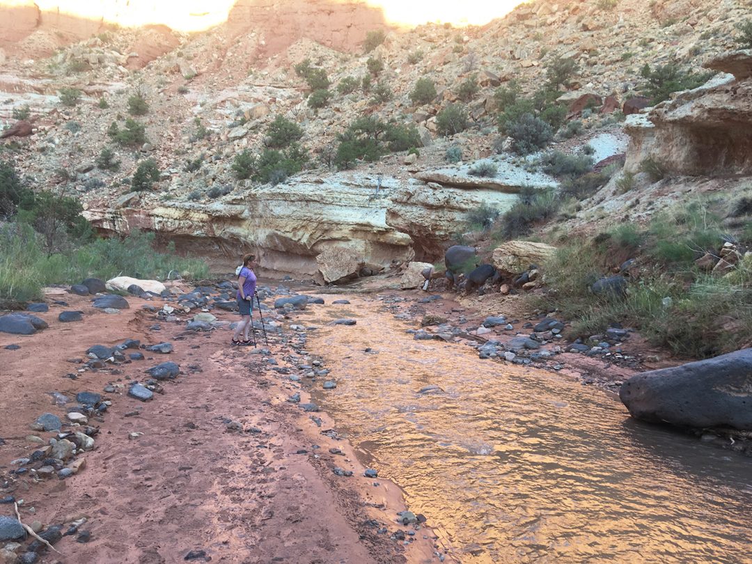 A Walk in the Water Sulphur Creek Trail Overseashiker