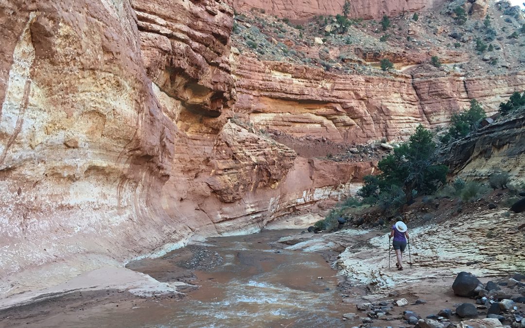 A Walk in the Water: Sulphur Creek Trail