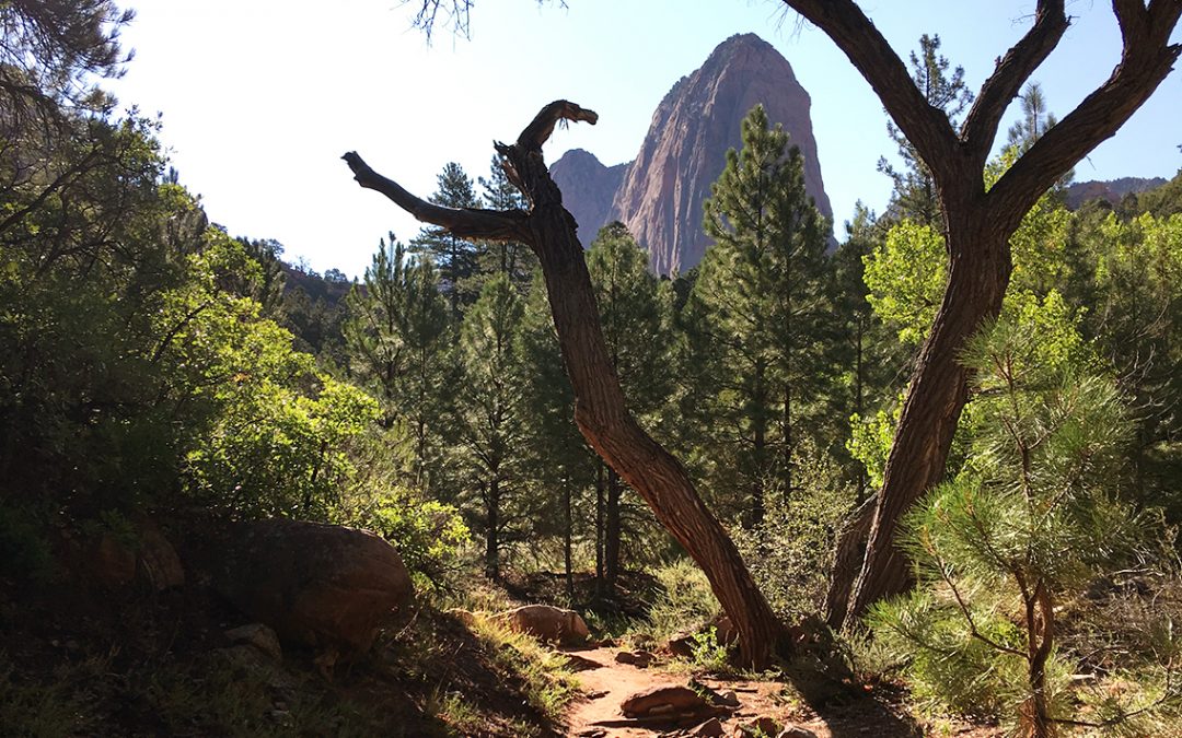 The Other Zion: Kolob Canyon