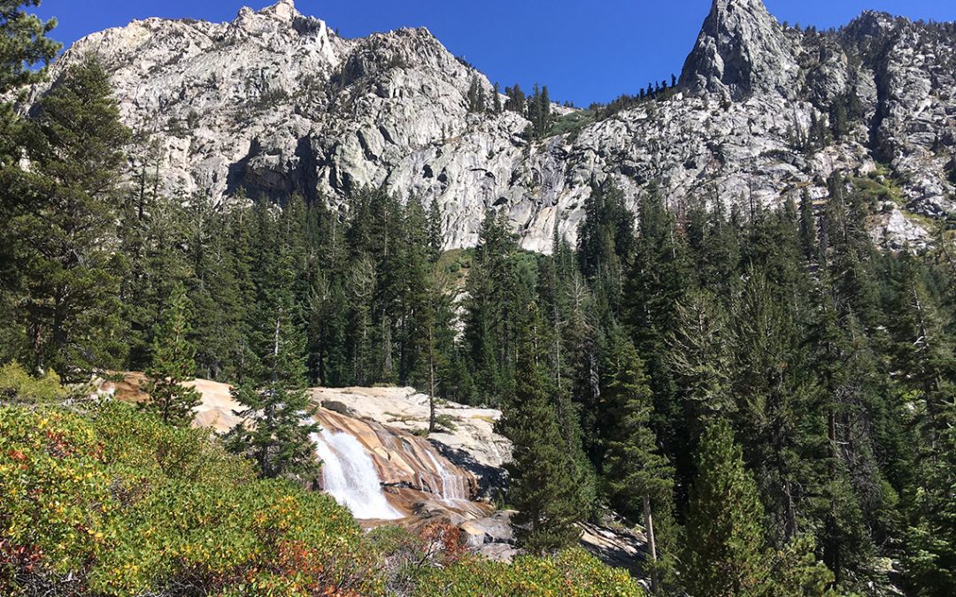 SEKI Loop Day 1: to Upper Vidette Meadow