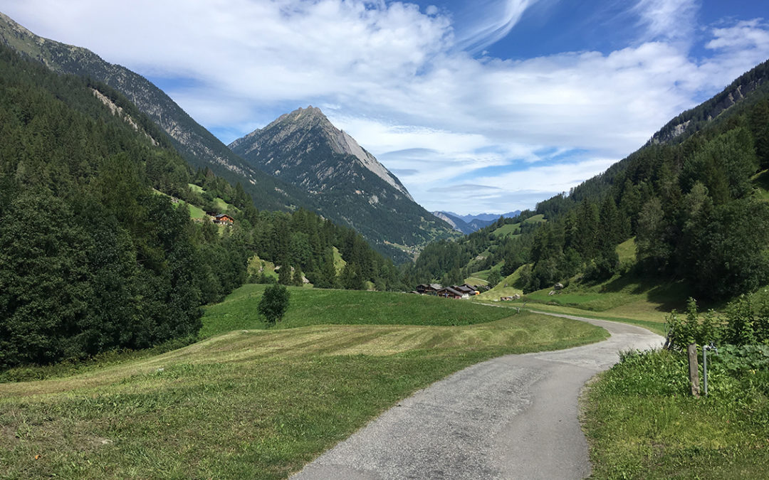 TMB day 6: the Swiss Val Ferret