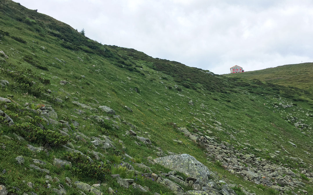 TMB Day 8: Up and Down Col de Balme