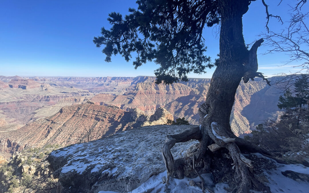 Escalante Route, Grand Canyon, Day 5 