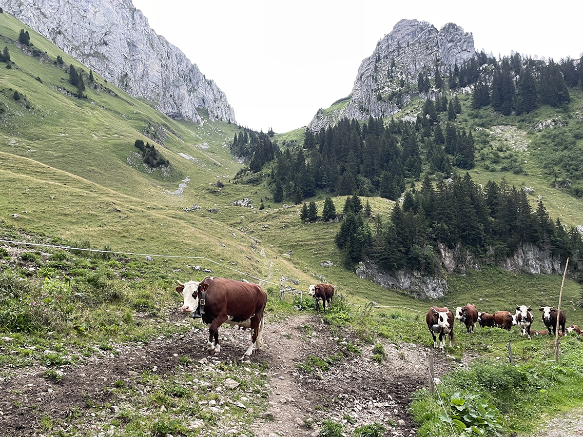 gr5-stage1-day2-pas-de-bosse