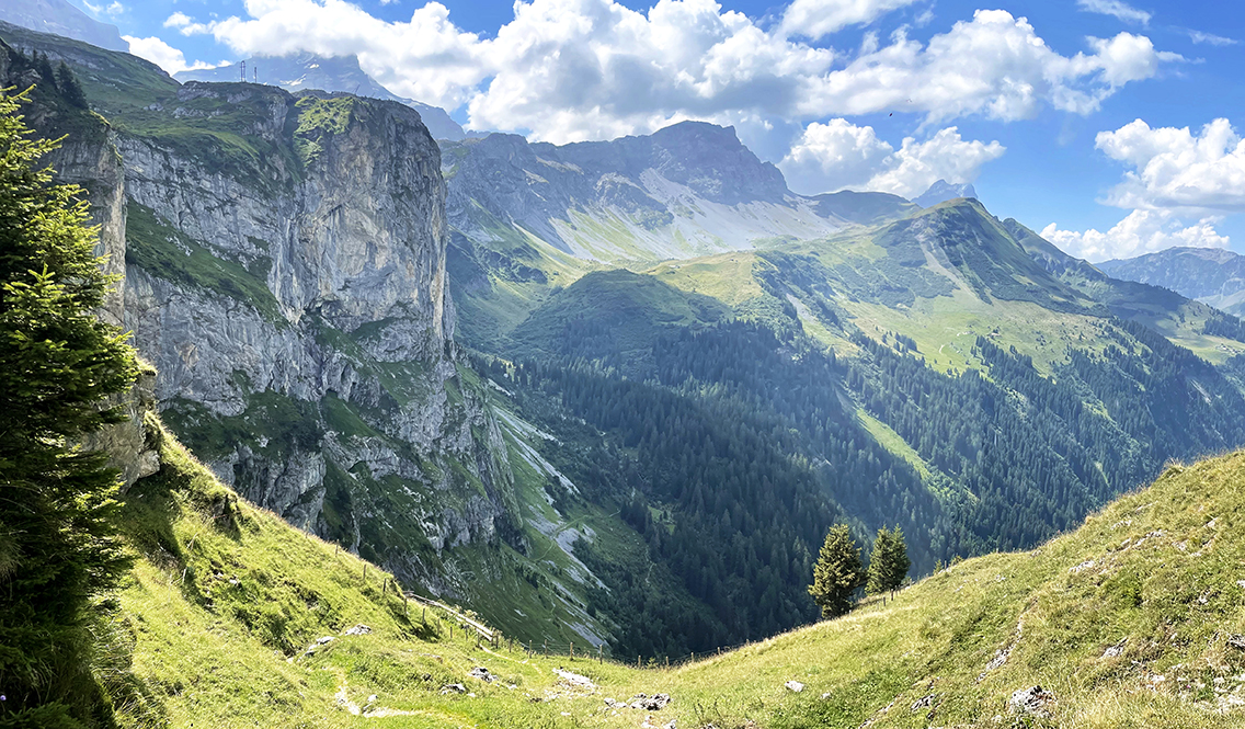 Via Alpina 1 Descend to Aesch