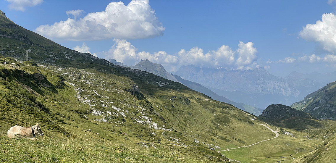 Via Alpina 1 below Klausenpass