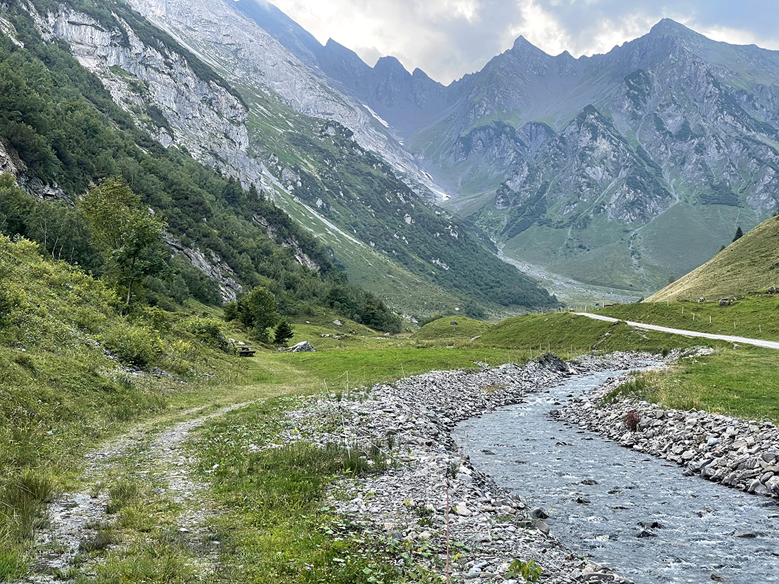 Via Alpina 1, waldnacht