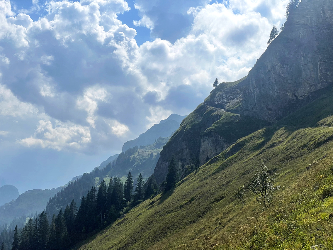 Via Alpina Engstlensee -Tannensee