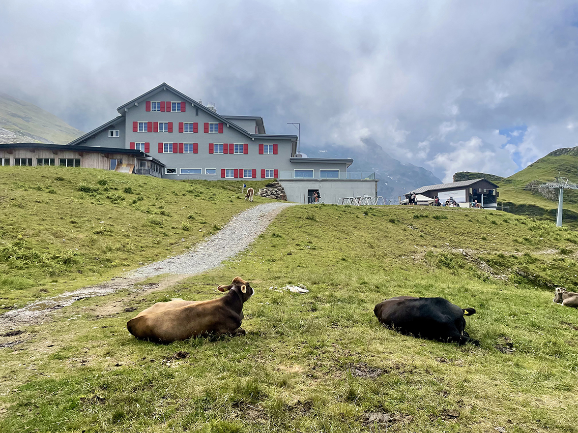 Via Alpina Jochpass